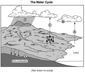 landscapes, water-recycle, meteorology, water-cycles, standard-6-interconnectedness, models fig: esci12013-exam_g34.png
